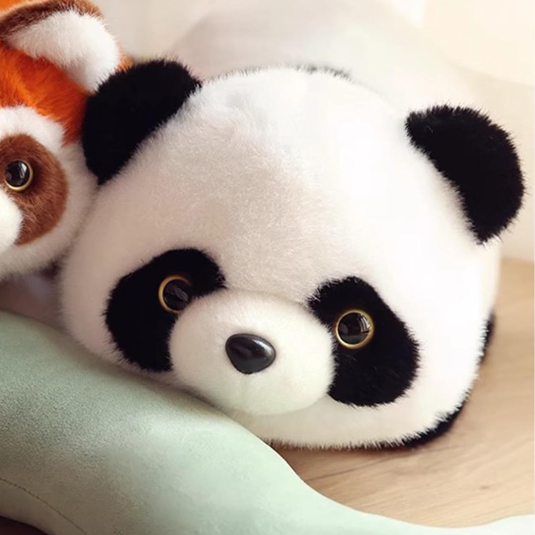 Panda y Pandita: La Pareja Perfecta